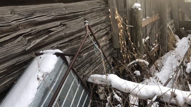 Дом 1914 года постройки. Обзор гнилой северной стены. Пл?