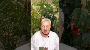 НАКАЗАНИЕ МОЛЧАНИЕМ - ЭТО КОНТРОЛЬ. Екатерина Эрлих