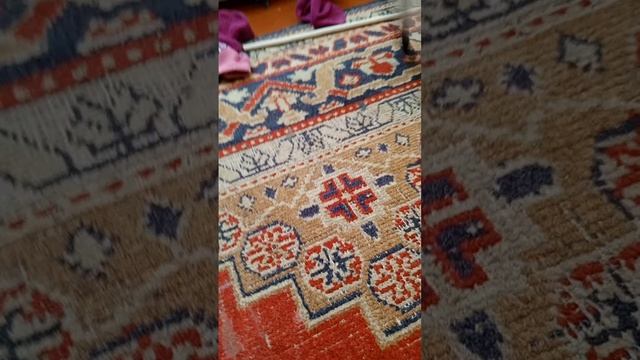 животные пивотные