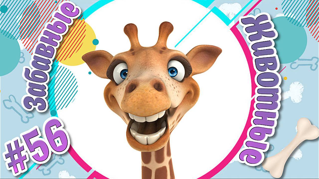 Забавные и Смешные Животные № 56 + Лучшие Подборки Животных + Смешные и Прикольные Животные