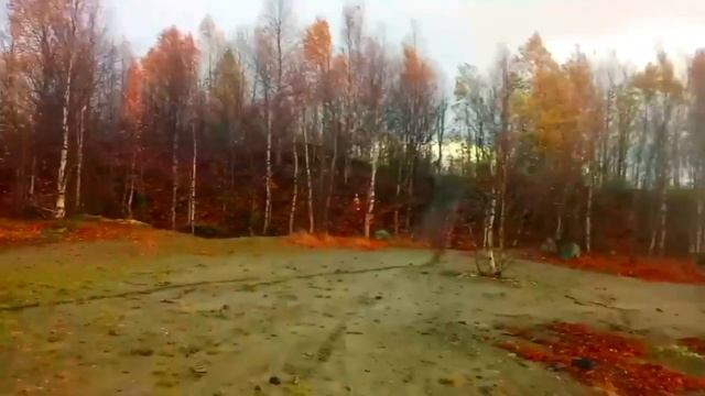 ПОКАТУШКИ ПО ЛЕСУ|ШКОЛЬНИКИ НА ПИТБАЙКАХ УЧАТСЯ СТАНТ