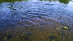 Универсальная самодельная блесна колебалка. Клюет всё.