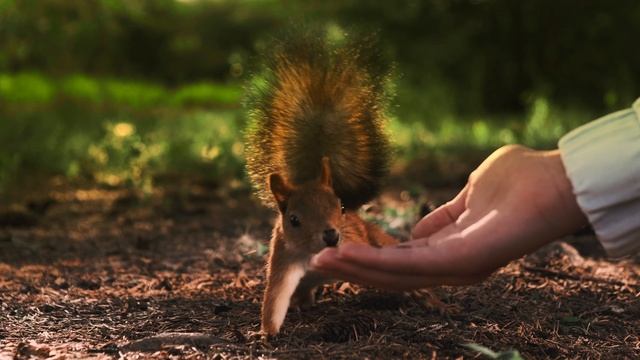 Юнион | Тюмень смотреть онлайн