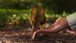 Видеоэкскурсия ЖК "Юнион" | Тюмень