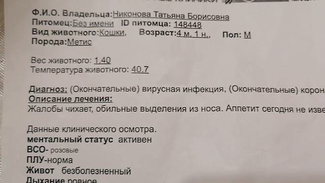 26 ноября 2024 г. Обжалование плохого отзыва на Авито смотреть онлайн