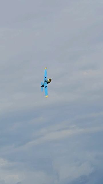 Высший пилотаж на Як-52 (фиксированная бочка 2)