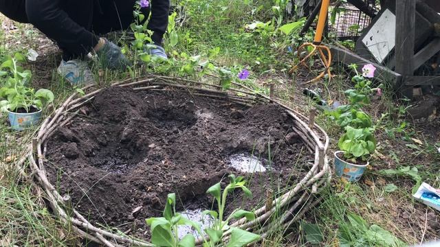 Высаживаю петунию и цинию. Сею огурцы смотреть онлайн