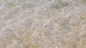 Пляж анапа 2025 морская вода