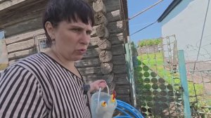 Дела Житейские, простая семья в деревне.