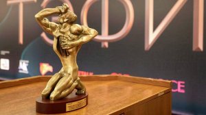 В Москве назвали лучшие сериалы по версии ТЭФИ-2025