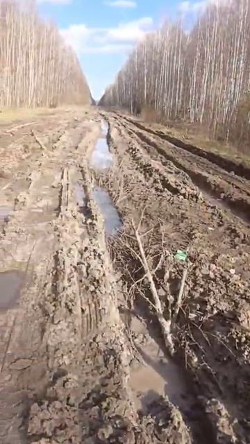 Такой дороги не где нет. Томск -Кедровый😱 смотреть онлайн
