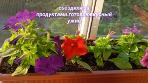 Получила пенсию, съездили за продуктами. Готовлю вкусный ужин.