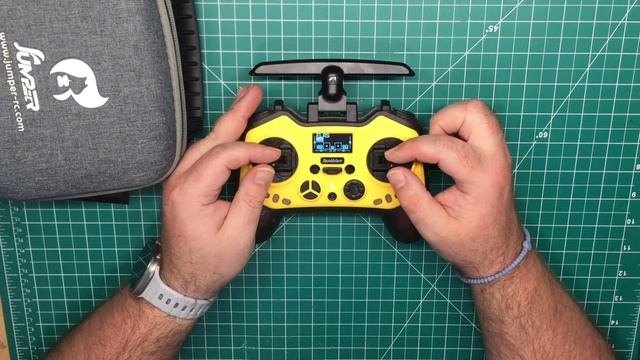 Jumper Bumblebee ⧸⧸ The Review You've Been Waiting For