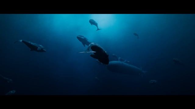 Кракен Трейлер PREMIER смотреть онлайн