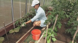 6 соток 10 июня 2025 года. 1 часть.