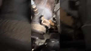 Vito w639 2,2 163 лс не заводится￼ проблема?стартер!