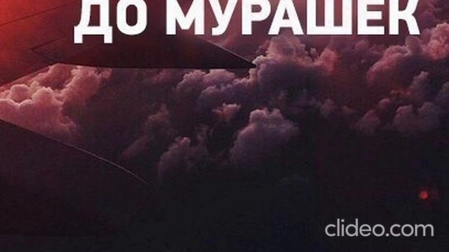 Гепард-до мурашек.