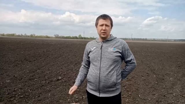Моє поле, посів гібриду Аякс, Сумська обл.