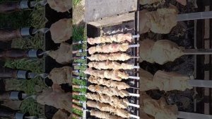 супер рецепт шашлыка из СССР