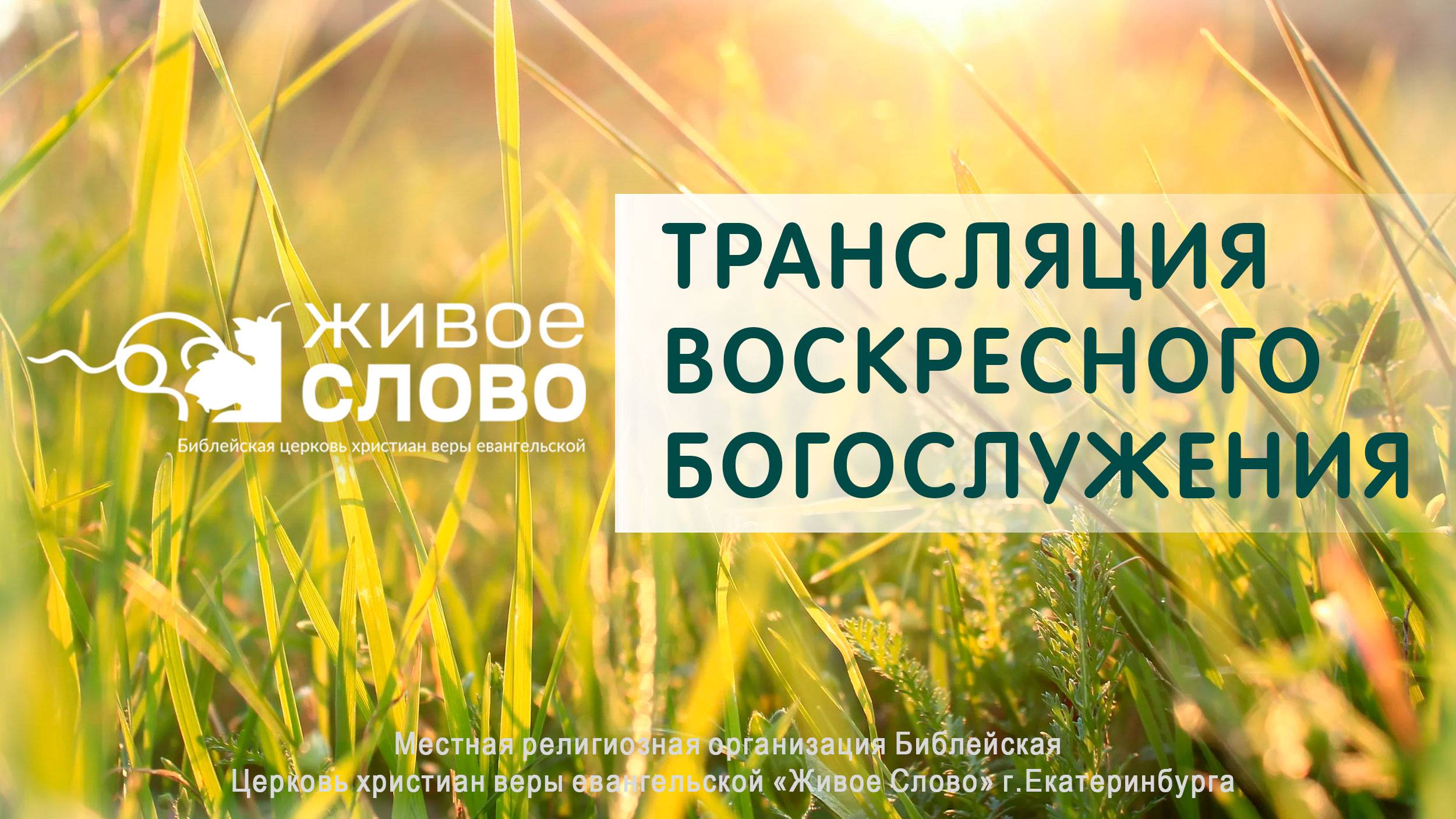 15 июня 2025 в 11:00 (ЕКБ) / Воскресное #богослужение / Церковь «Живое Слово» смотреть онлайн