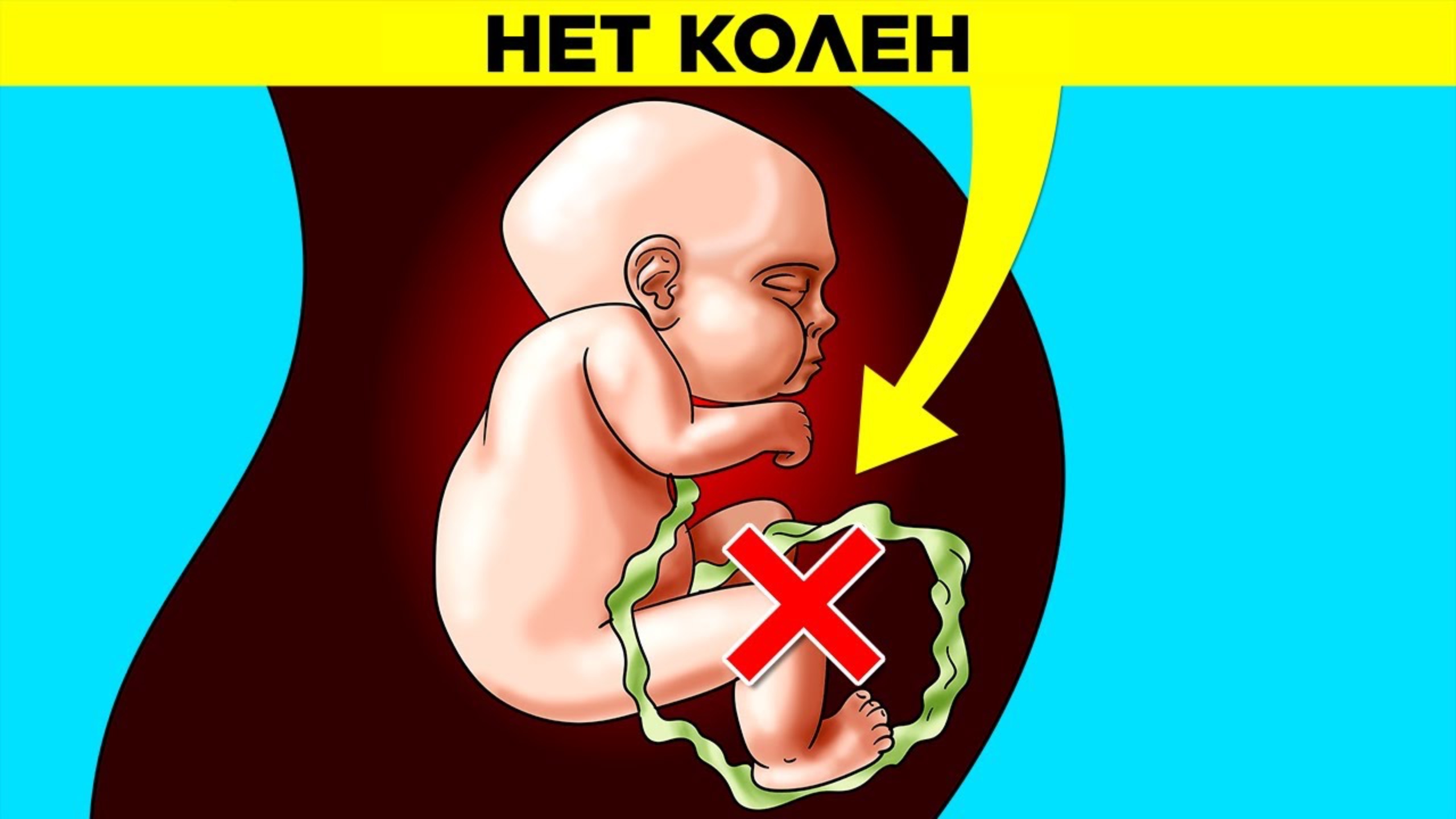 20 Фактов, Которые Вы Не Знали 5 Минут Назад смотреть онлайн