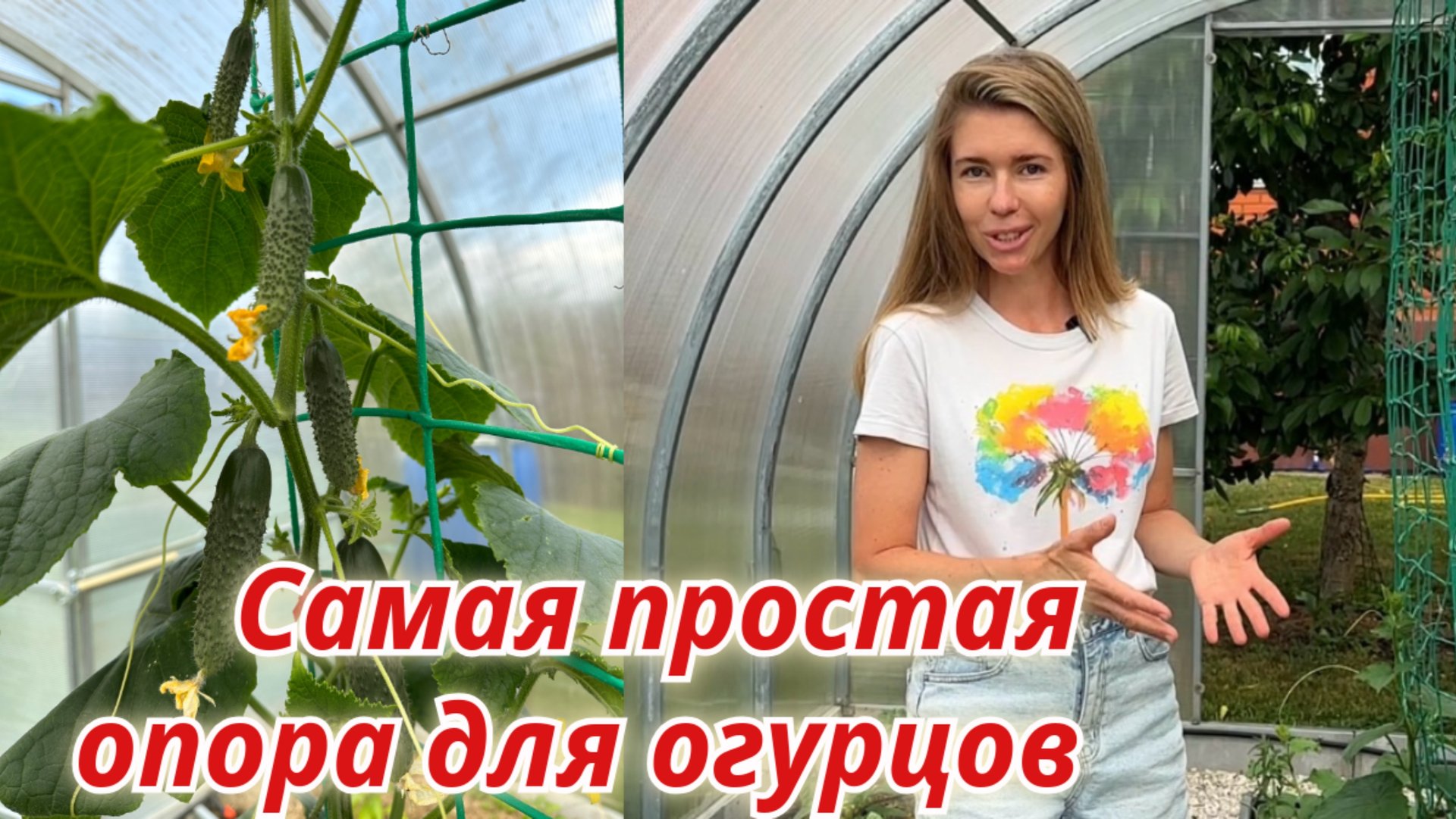 ОГУРЦЫ НА СЕТКЕ: простая опора для легкого ухода смотреть онлайн