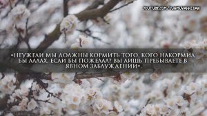 Сура 36 Йа Син С ПЕРЕВОДОМ