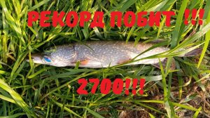 Дон, Трофейная щука, на дешёвую Китайскую вертушку!!! 4К Trophy pike, on a cheap Chinese spinner 4K