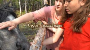 Сүрэх сылааһынан