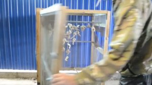 Крылышки холодного копчения