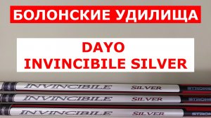DAYO INVINCIBILE SILVER - ОБЗОР БОЛОНСКИХ УДИЛИЩ |СИЛОВЫЕ БЮДЖЕТНЫЕ УДИЛИЩА | СТРОЙ И НАДЕЖНОСТЬ