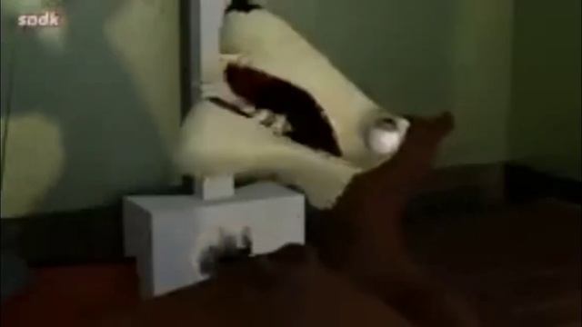 Мультик с матами