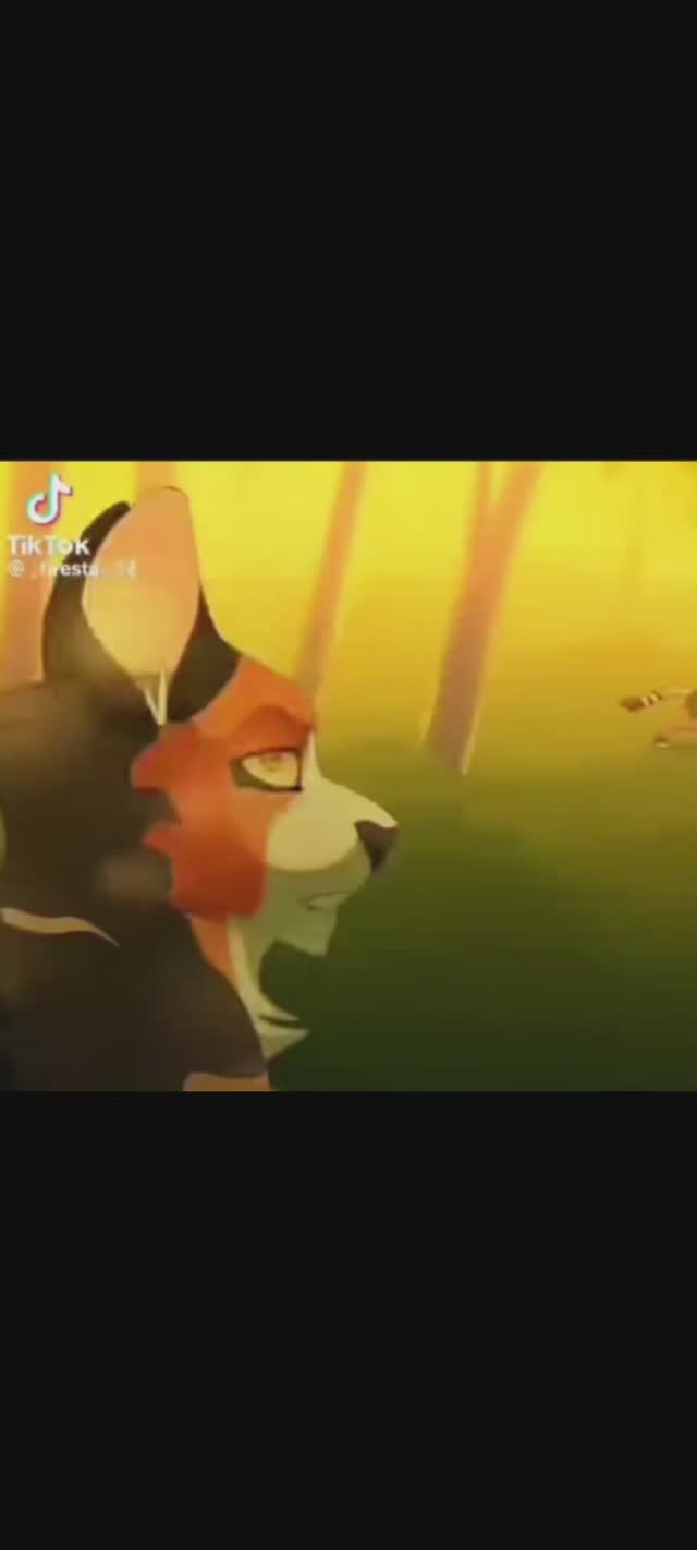 Коты воители/кленовица ☠