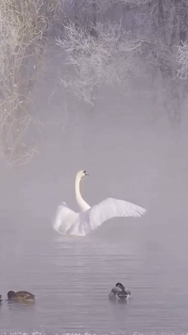 Мир ... смотреть онлайн