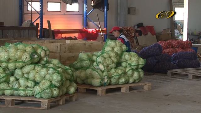 Социальные приоритеты бюджета