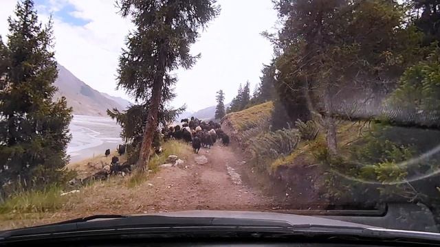 Overland Adventure | Driving To Khan Tengri (Хан-Тенгри) | Kyrgyzstan