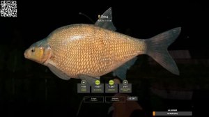 РР4. Лещ на Старом Остроге. Точки, фарм, улов и троф!