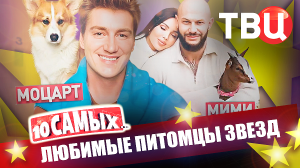 Любимые питомцы звезд. 10 самых... | Билан, Бэкхем, Майк Тайсон, Жигунов, Лолита...