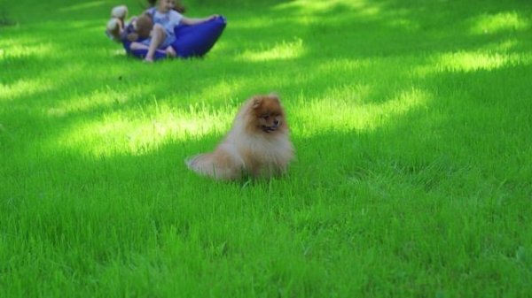 Территория отеля Мореин