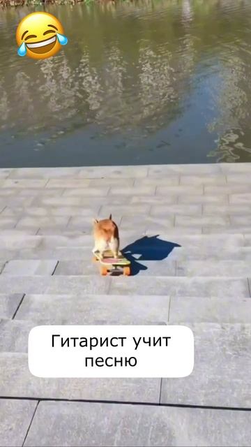 Гитарист учит песню смотреть онлайн