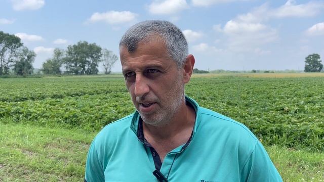 11-06-2025 г. Третий год житель х.Игнатьевский Сергей Тепоян занимается выращиванием клубники смотреть онлайн