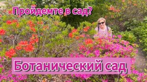 1 ч. Ботанический сад-институт Дальневосточного отделения Российской академии наук. Весь в цвету.