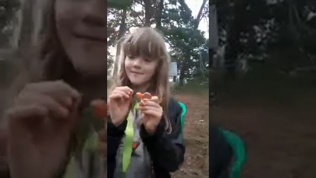 Лагерь навигатор