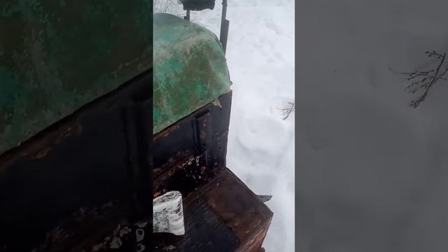 Буран как всегда лучше всех Вариатор не выдержал наше?