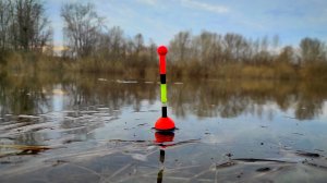 НАЛОВИЛ КАКОЙ-ТО УЖАС! Ехал за плотвой но ВЫШЛО ОНО! Рыбалка на поплавок 2025