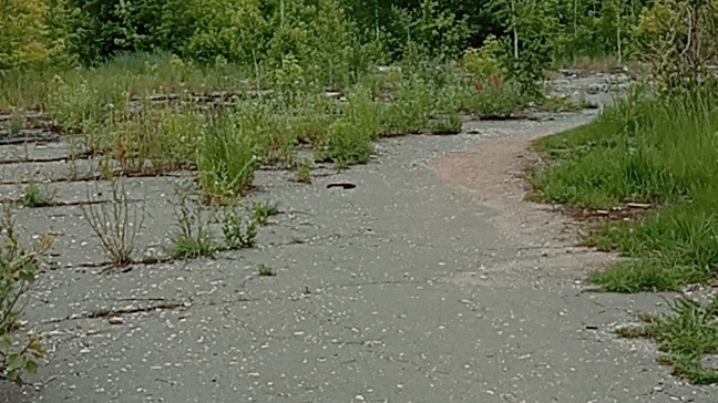 проникли в заброшенное автобусное депо смотреть онлайн