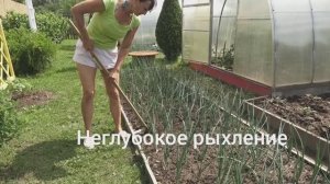 6 соток 9 июня 2025 года. 1 часть.