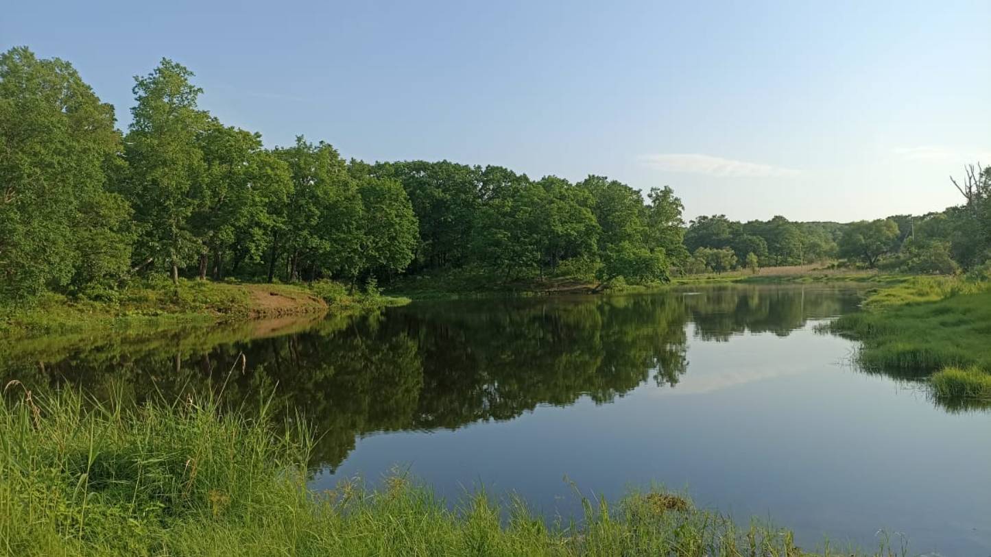Доброе утро на природе☕☀🌸❤ смотреть онлайн