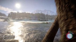 Sons Of The Forest - КОНСОЛЬНЫЕ КОМАНДЫ на БЕСКОНЕЧНЫЙ РЕСУРС