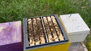 Мини+ в работе